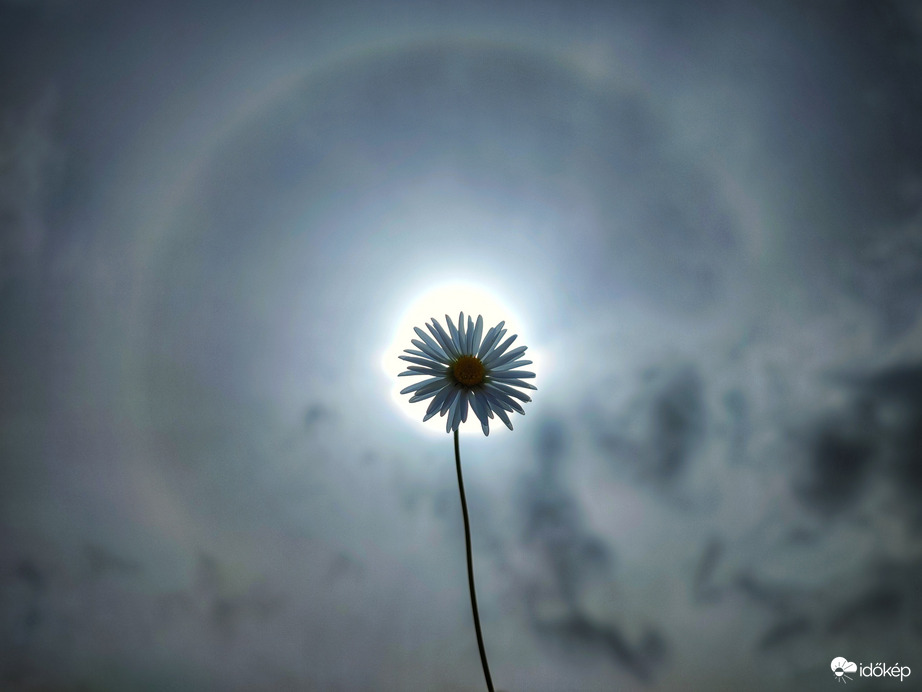 Vastagodó felhőzet, halványodó naphaló