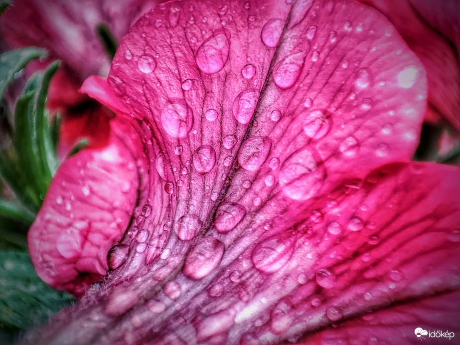 Az éltető eső cseppjei