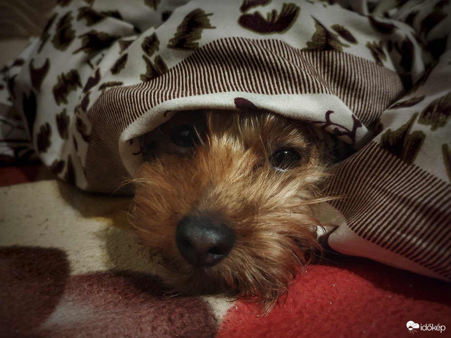 Mazsola gondolatai az időjárásról