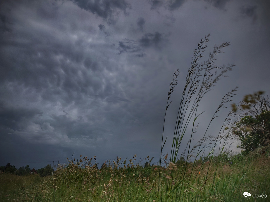 Mammák a nap zárásaként