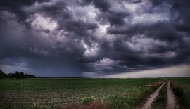 Panoráma
