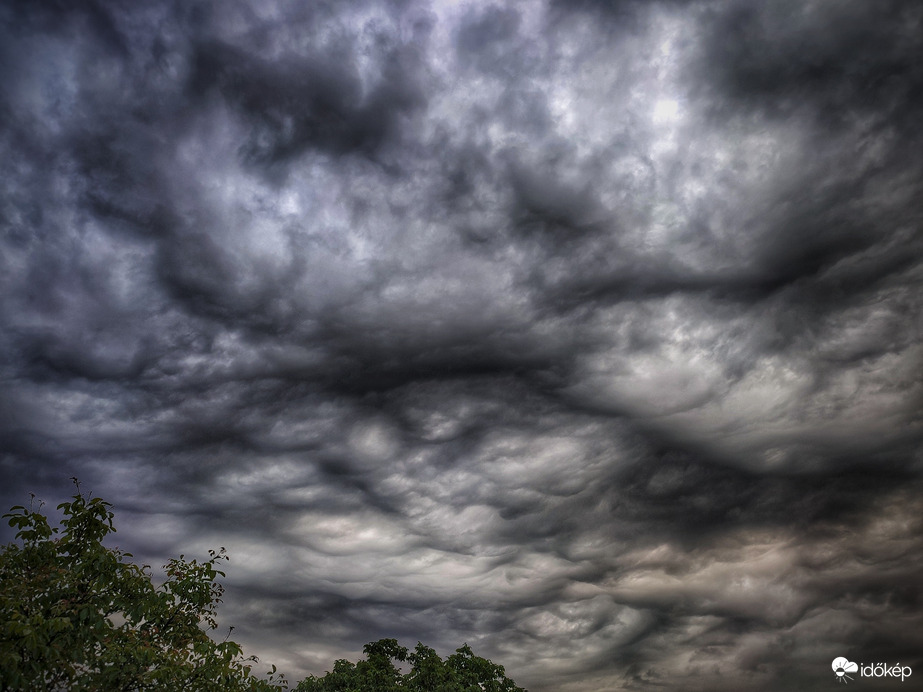 Undulatus asperatus a reggeli zápor érkezése előtt