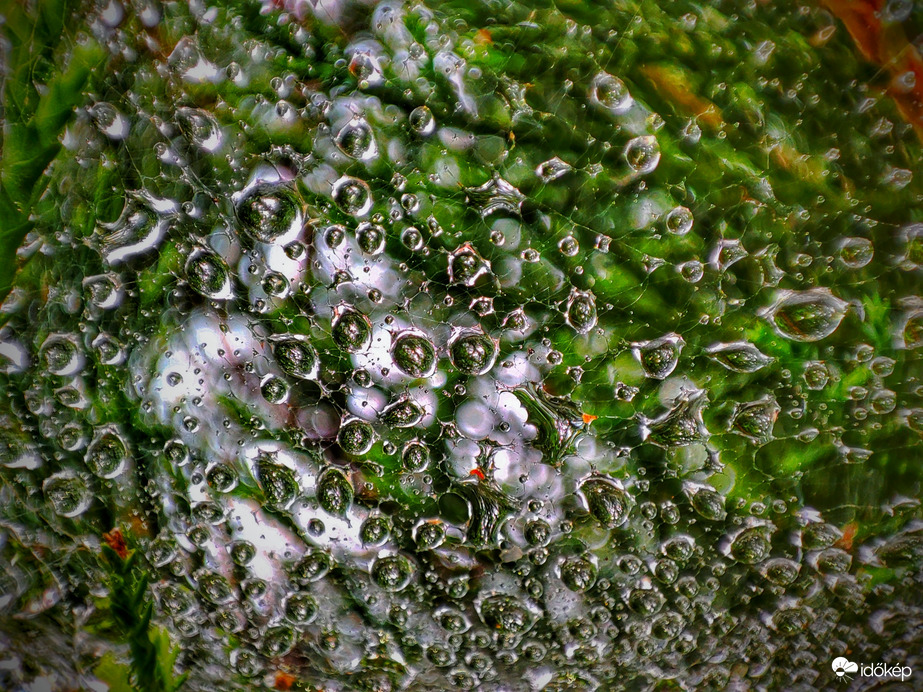 Szépen esik az eső, eddig 8,5 mm esett