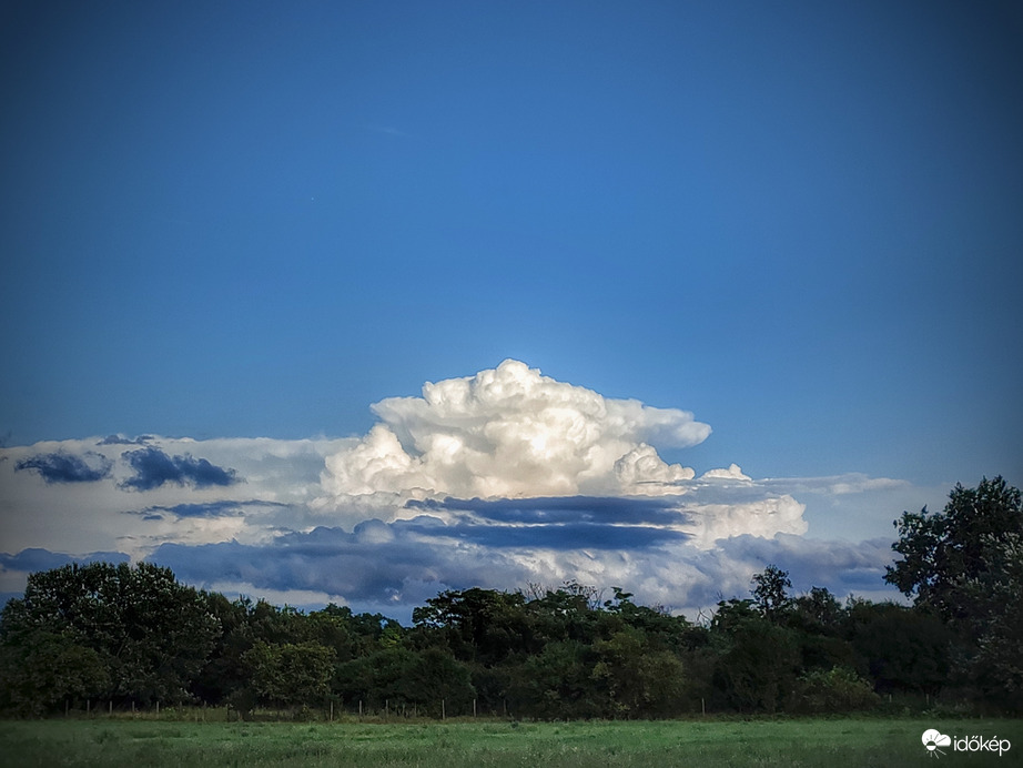 A déli zivataros kígyó újabb tagja