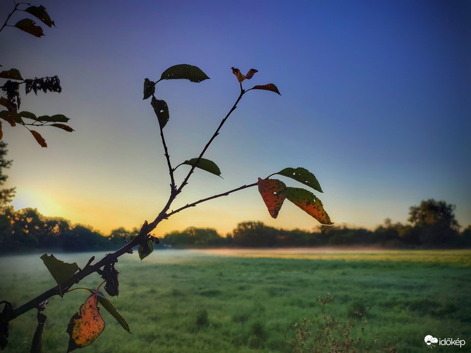 Az őszi reggelek velejárója