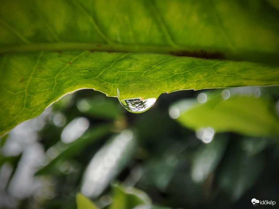 3 mm esegetés után