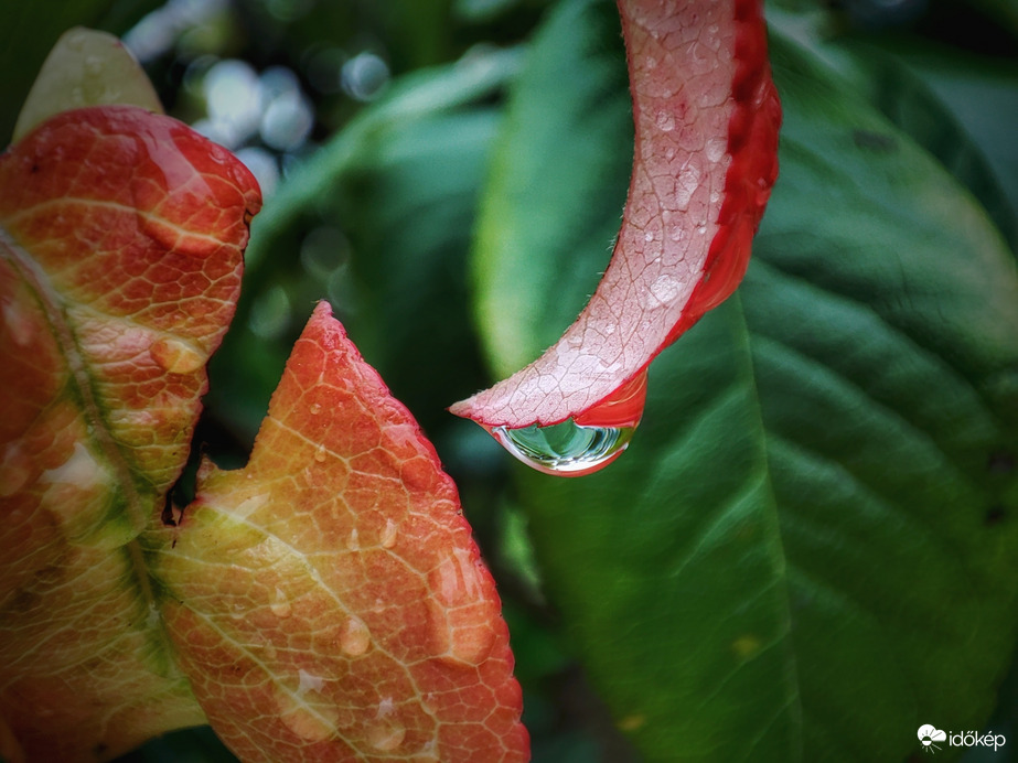 Vasárnapi őszi hangulat