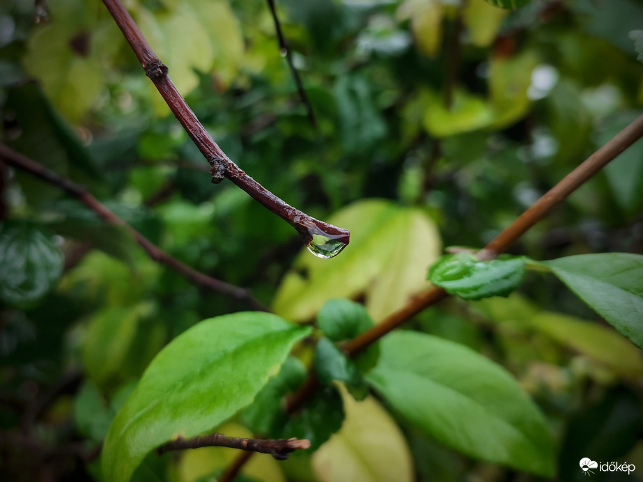 Kezdenek őszbe fordulni színek