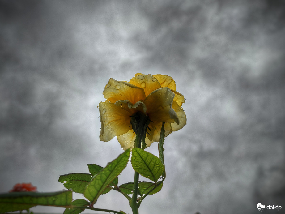 Időszakosan esős délután