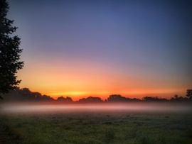 Napkelte előtti ködös derengés