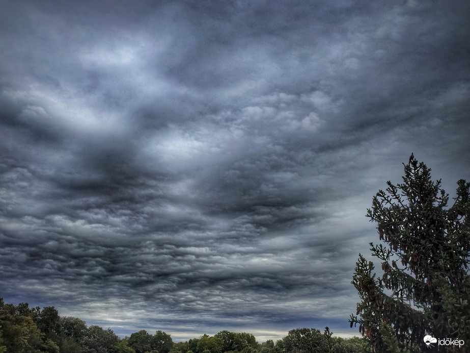 Szél formálta ború