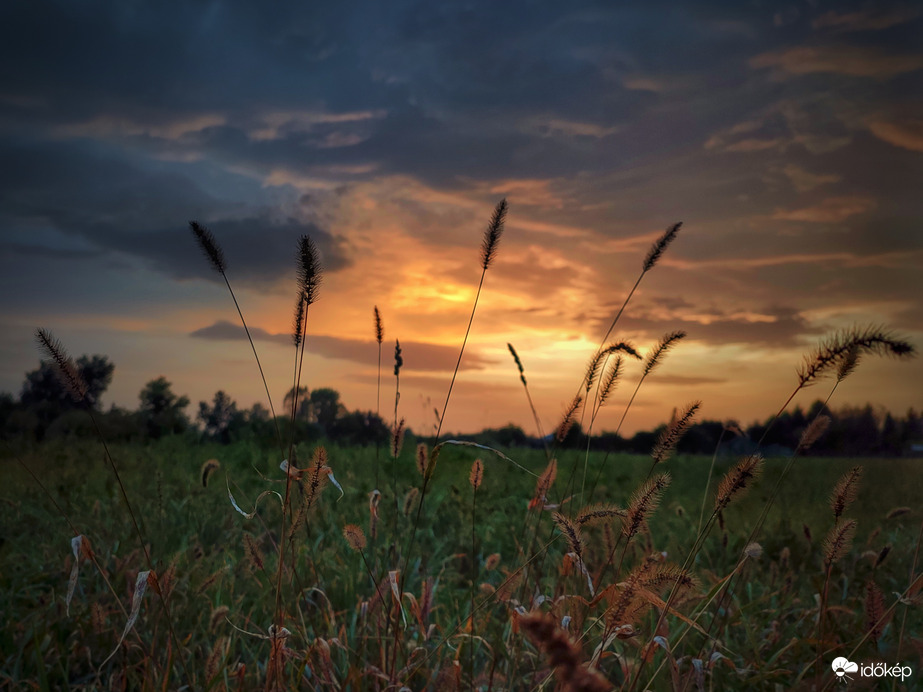 Áthatotta az őszi melegség a mai napot