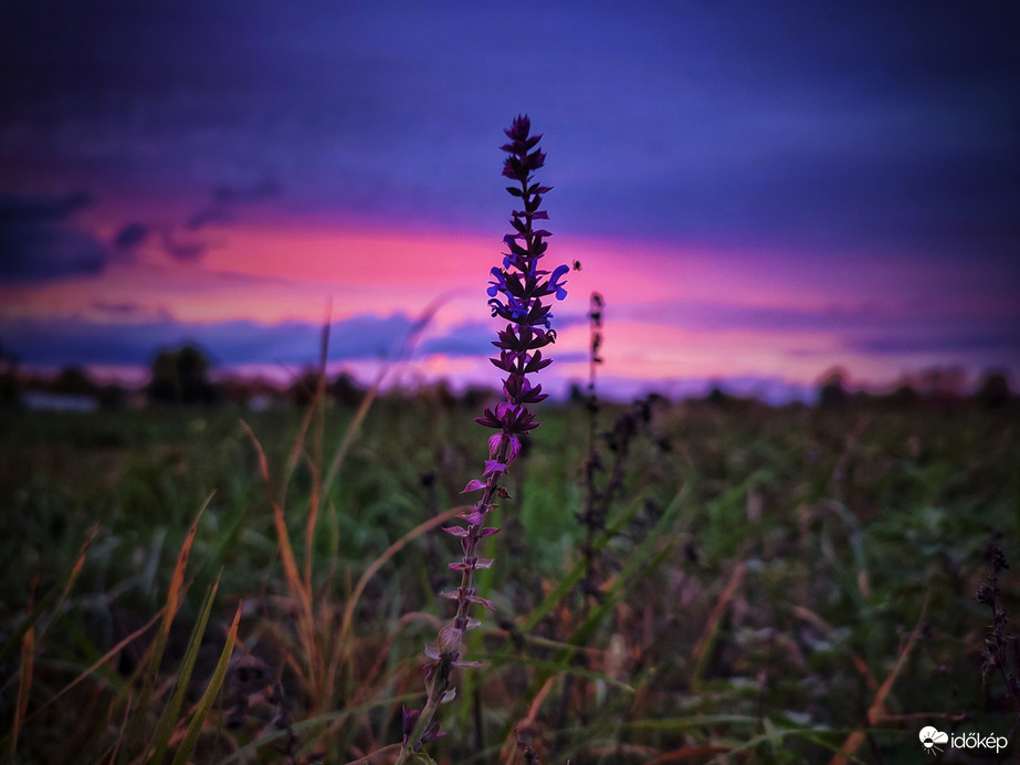 Alkonyat zsályához illő színekkel