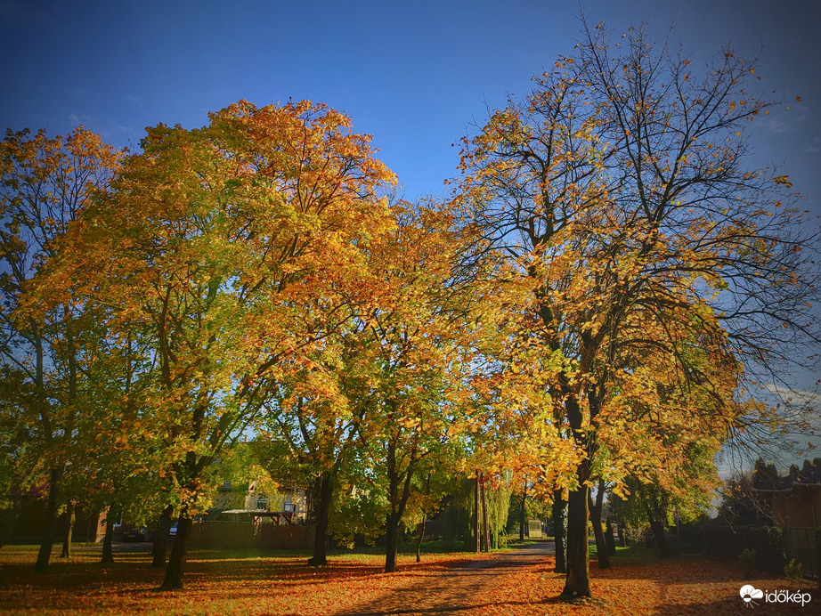 Novemberi ősz