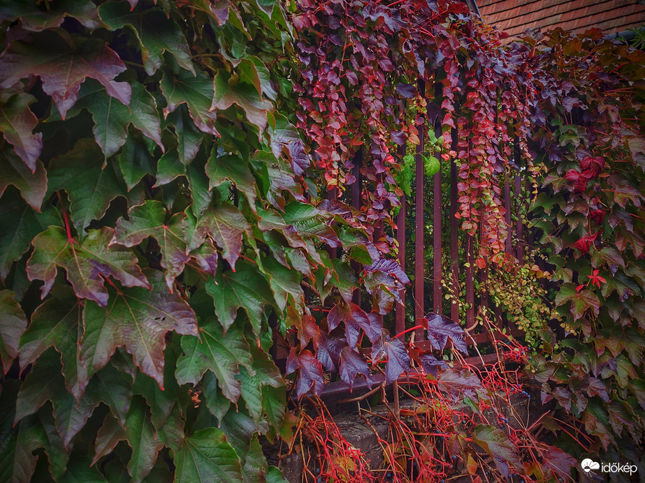 Novemberi színpaletta