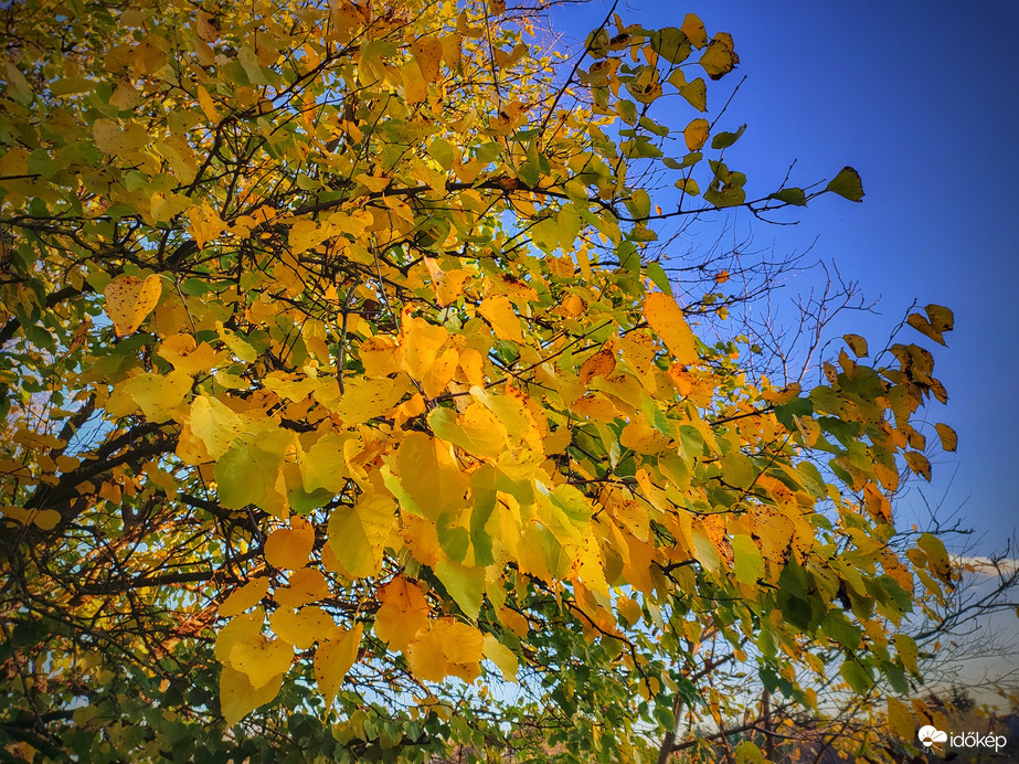 Derült őszi ragyogás