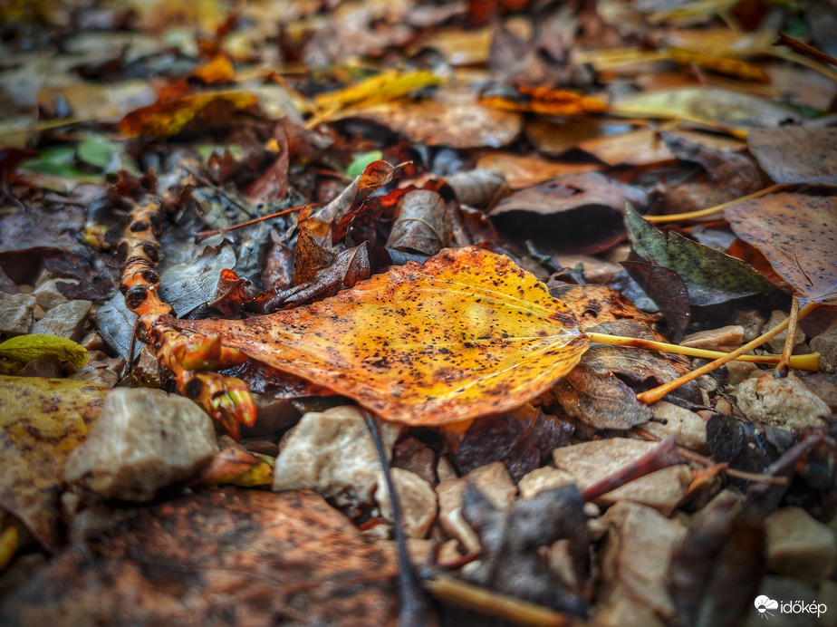 Egy kis eső után és egy nagyobb eső előtt