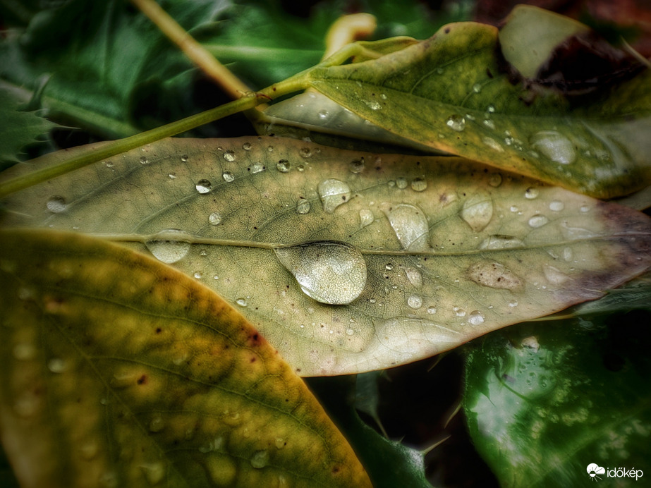 3 mm esett bemelegítésként