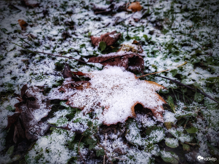 Éjszakai havazás eredményeként