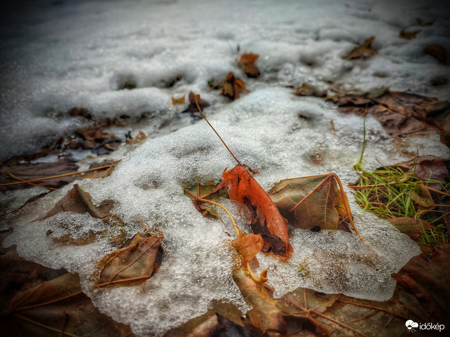 A hó fogságából kiszabadulva