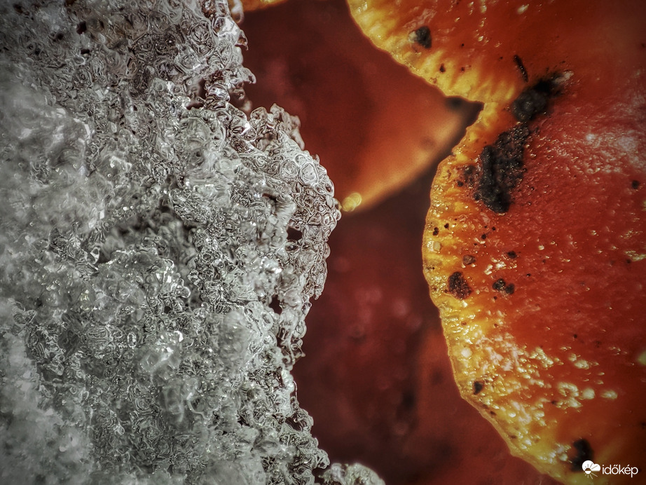 Kinyílott a cipzár