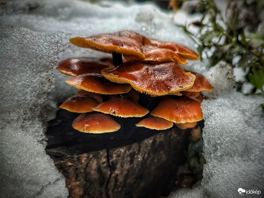 Kalaposék fellélegezhetnek