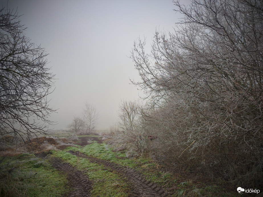 Zúzmarás ködös kilátástalanság