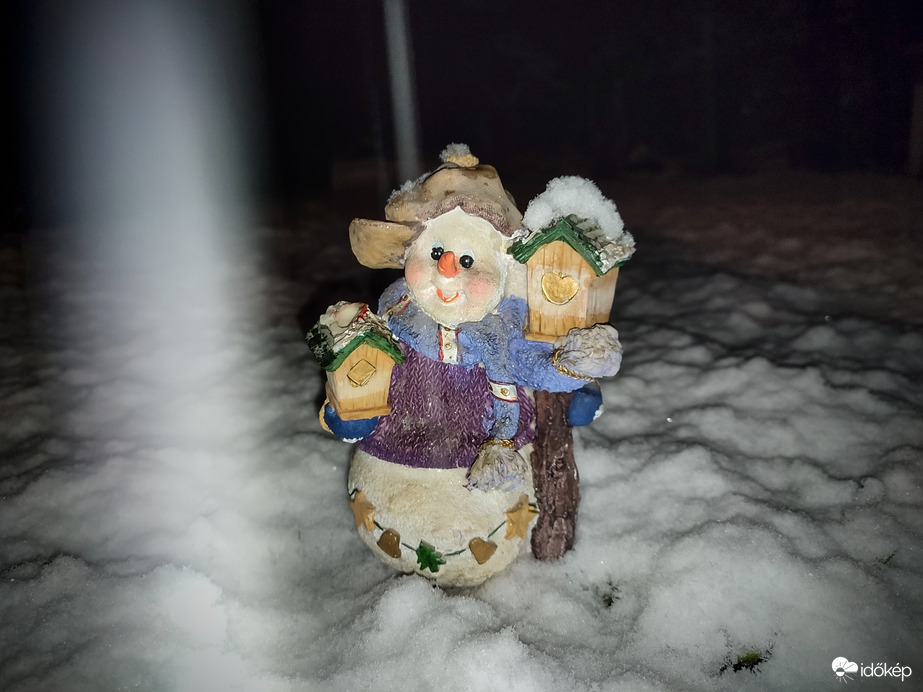 Hóemberke a szakadó hóesésben