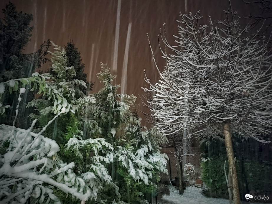 Havas éjjeli csendélet