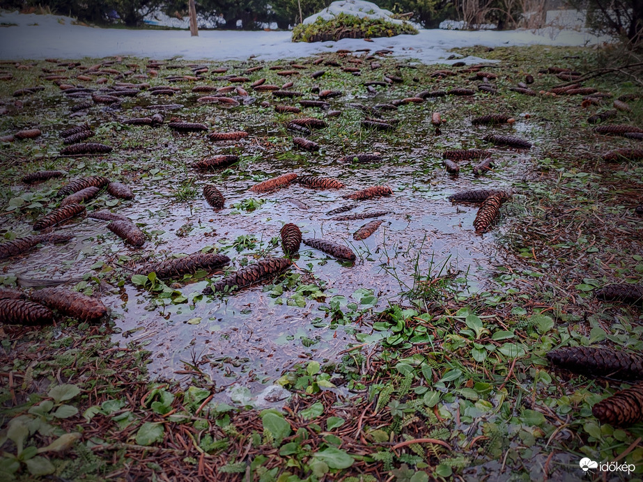 Visszavonulót fúj a tél