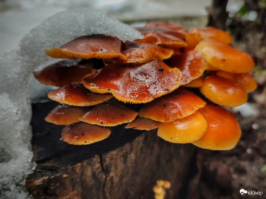 Idénre vége a bújócskának