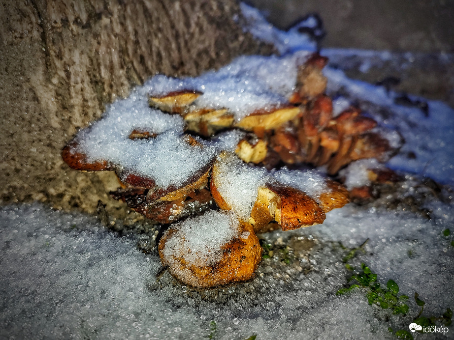 Téli csapadékok tárháza Kalaposékon