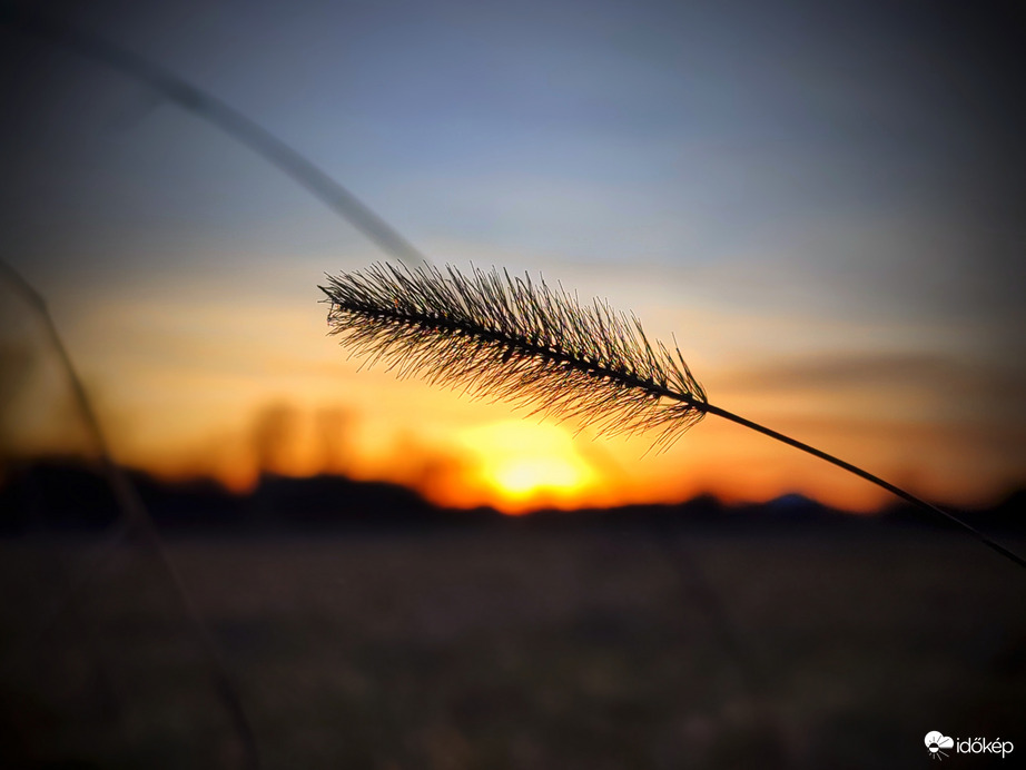 Naplementi szelesség