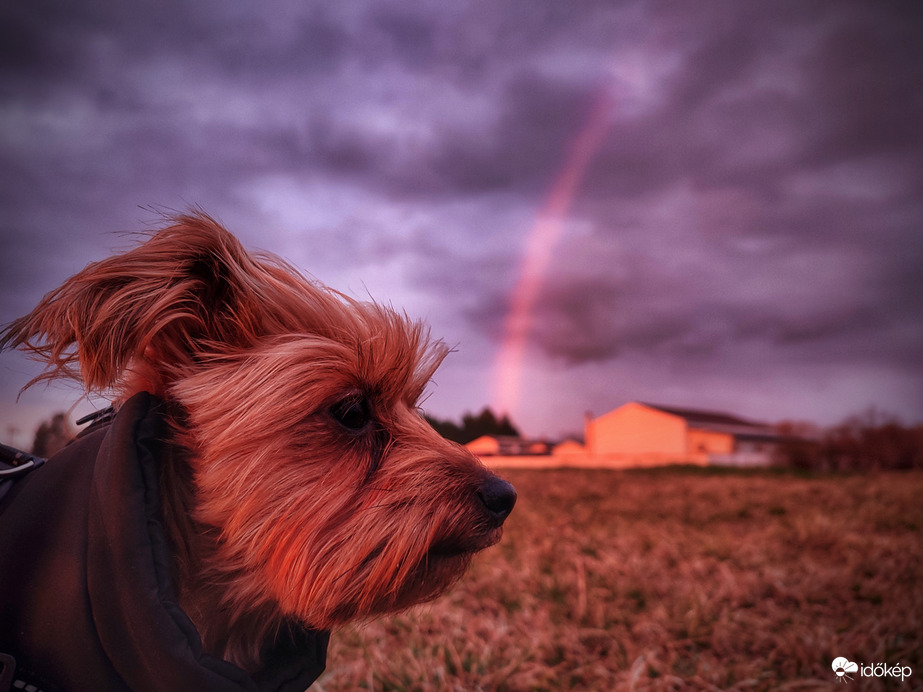 Mazsola és a búcsúzó szivárvány