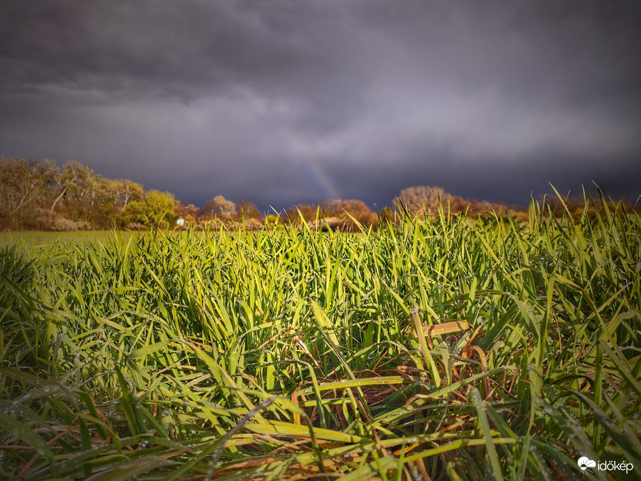 Kis frissítőt kapott a természet