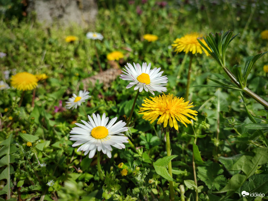 Látvány még a ború előtt