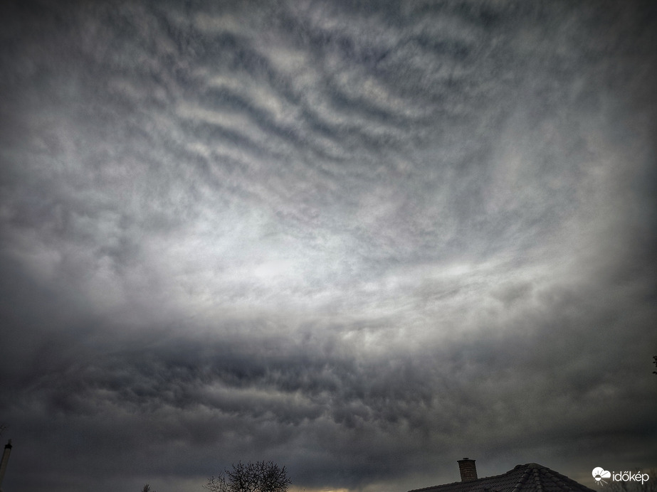 Mammák és hullámok a szürkeségben