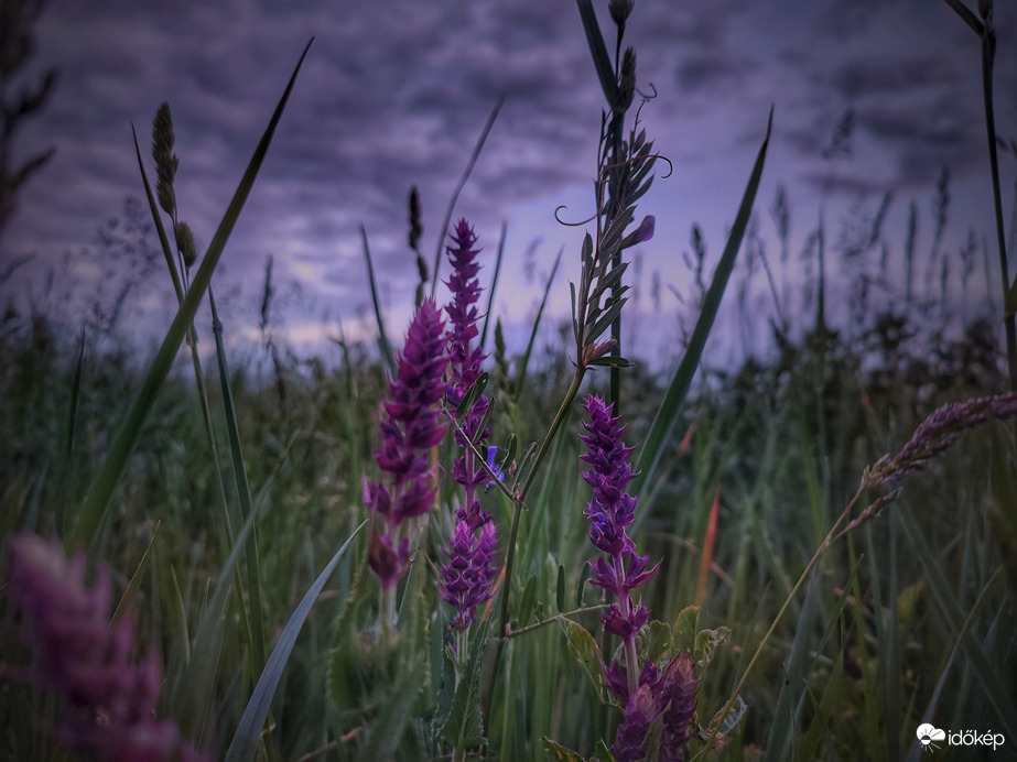 Nyomott naplementi hangulat