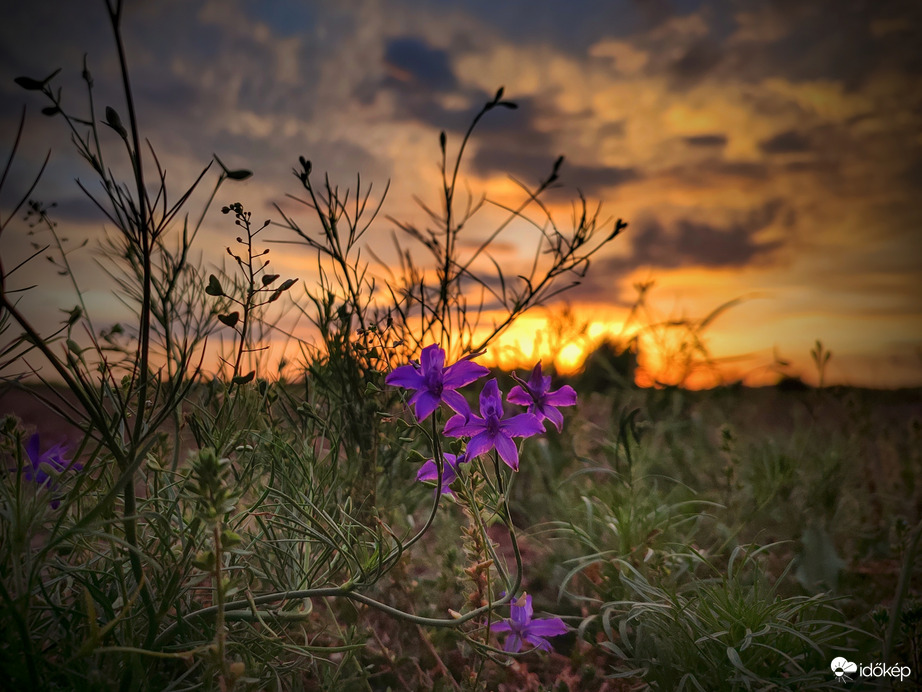 Szarkalábak a tüzes naplementében
