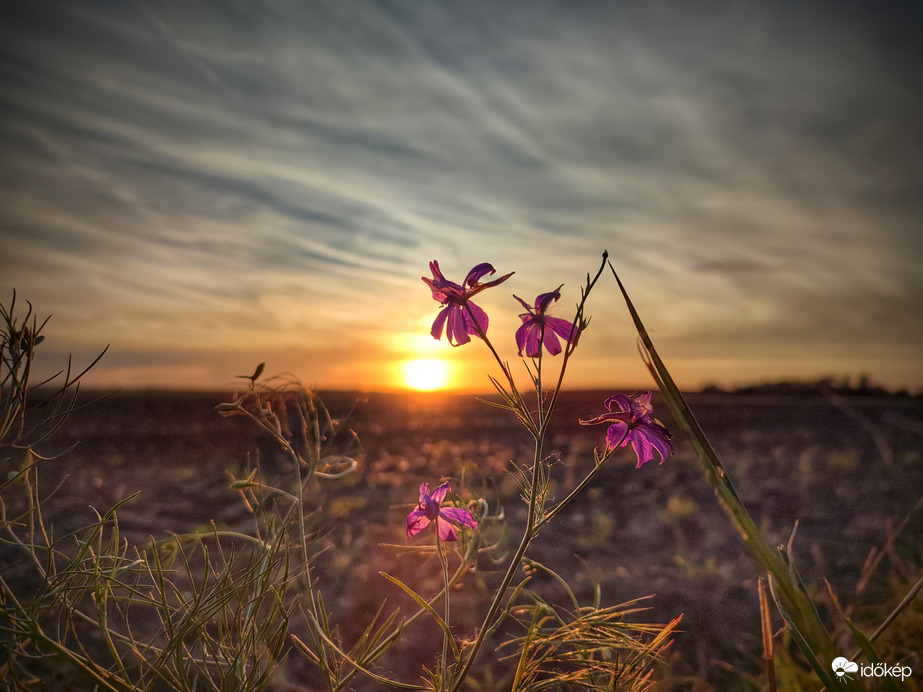 Nyári hangulatú naplemente