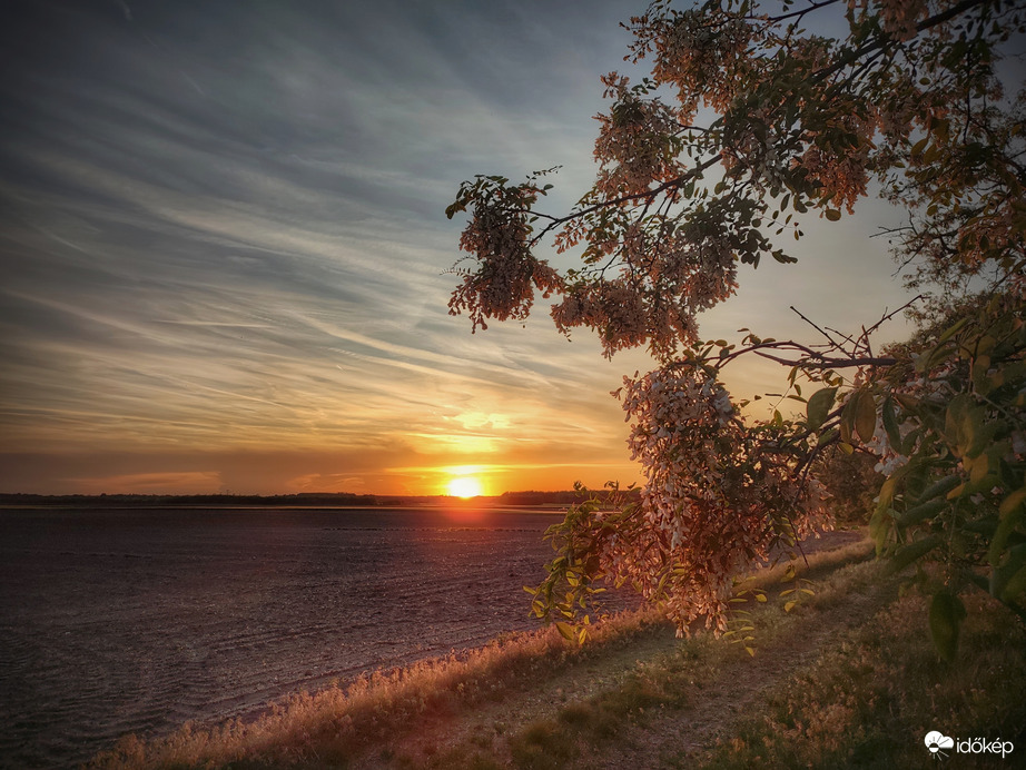Naplemente a határon virágzó akácokkal