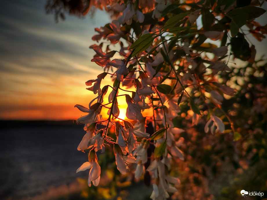 Akácos naplementi színek