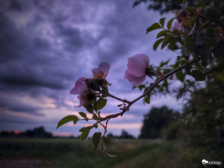 Naplemente egy csöppnyi pirossal
