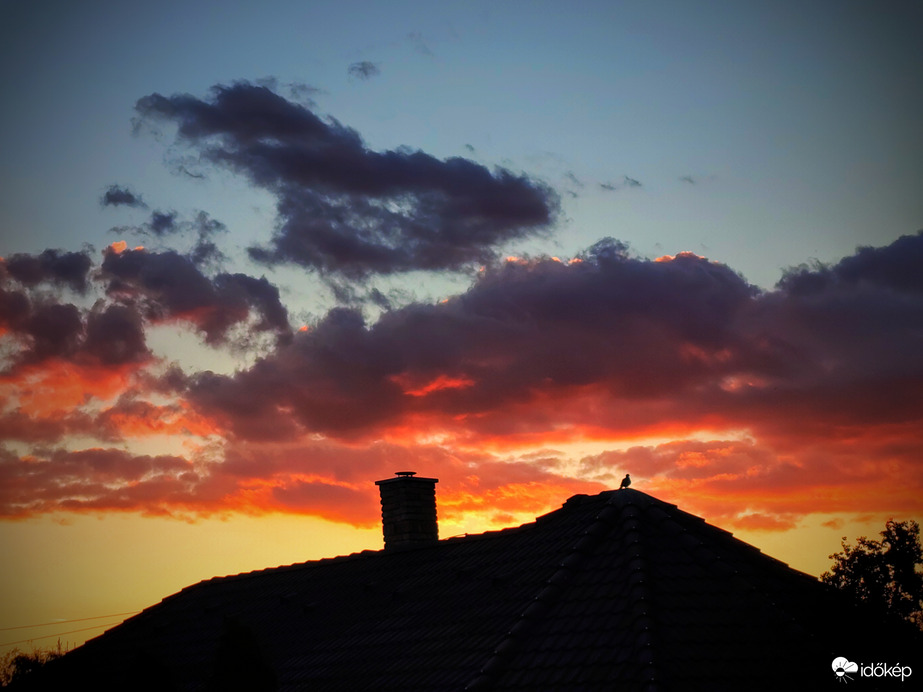 Egy madárka is kíváncsi volt a napnak búcsújára