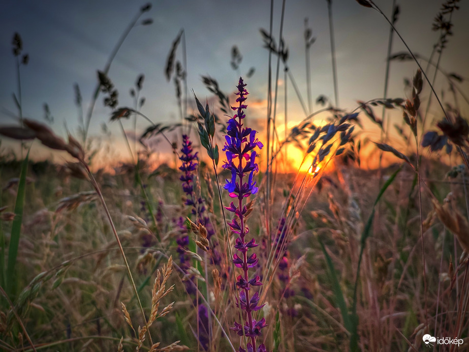 Nyugodt pünkösdi szombat végén