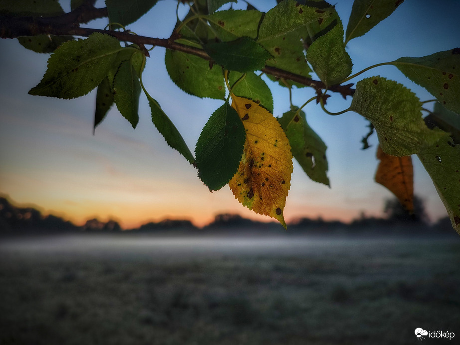 Igazán őszies napindító