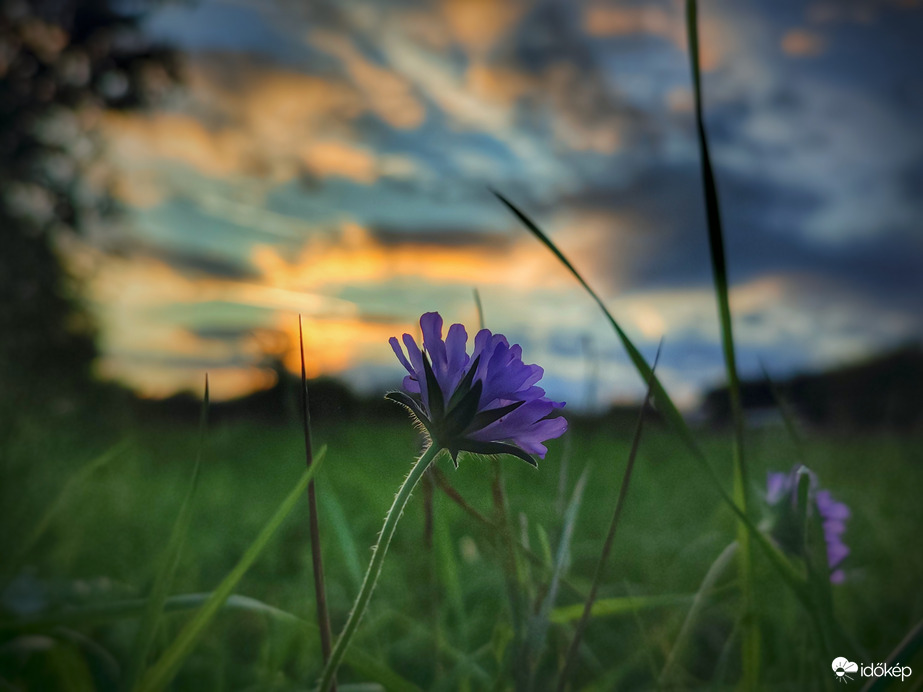 Színek a szeles naplementében