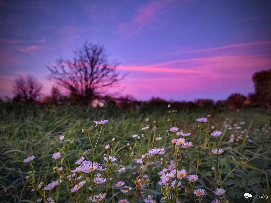 Novemberi lila égi varázslat