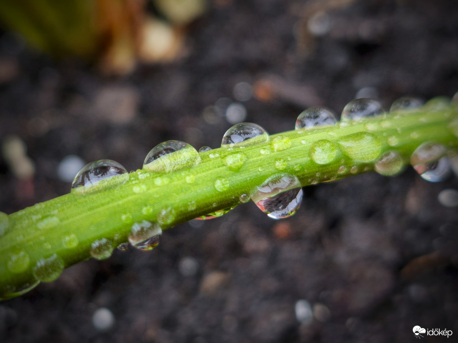 Kiadós eső érkezett ismét