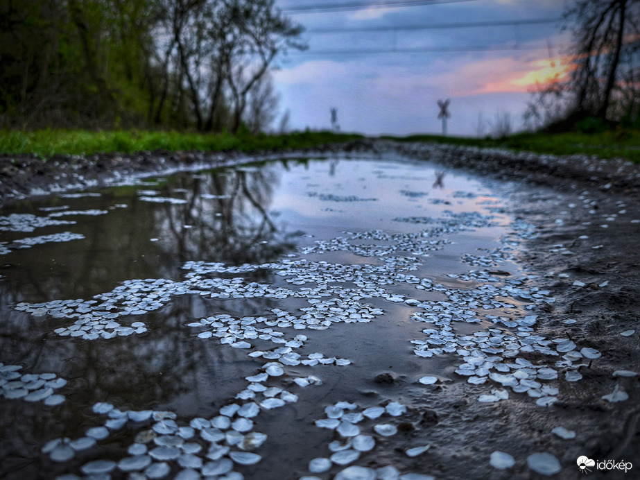 Szirmok szigete a borús naplementében